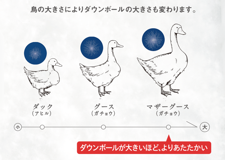 西川直営サイト限定］抗菌羽毛掛けふとん[ダック](（シングルロング