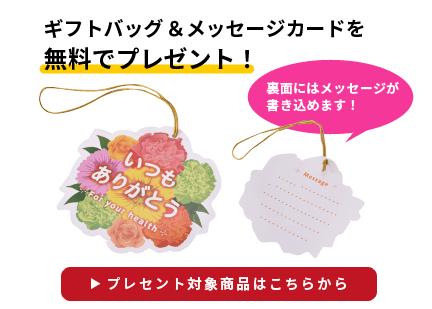 父の日 プレゼントアイテム特集 枕 タオルケット 接触冷感 箱入りギフト 西川公式オンラインショップ 寝具通販サイト
