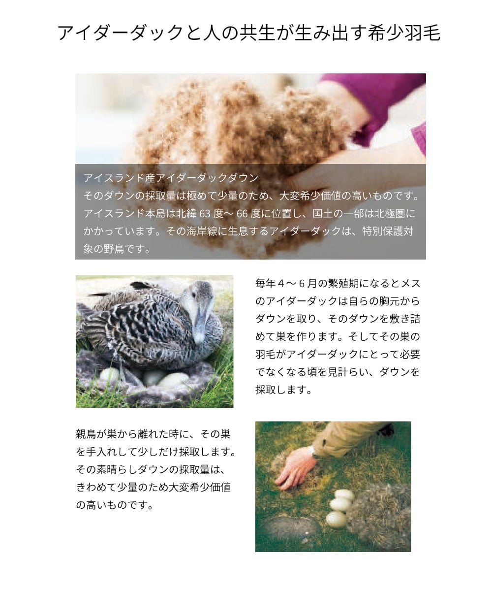 アイダダックダウン