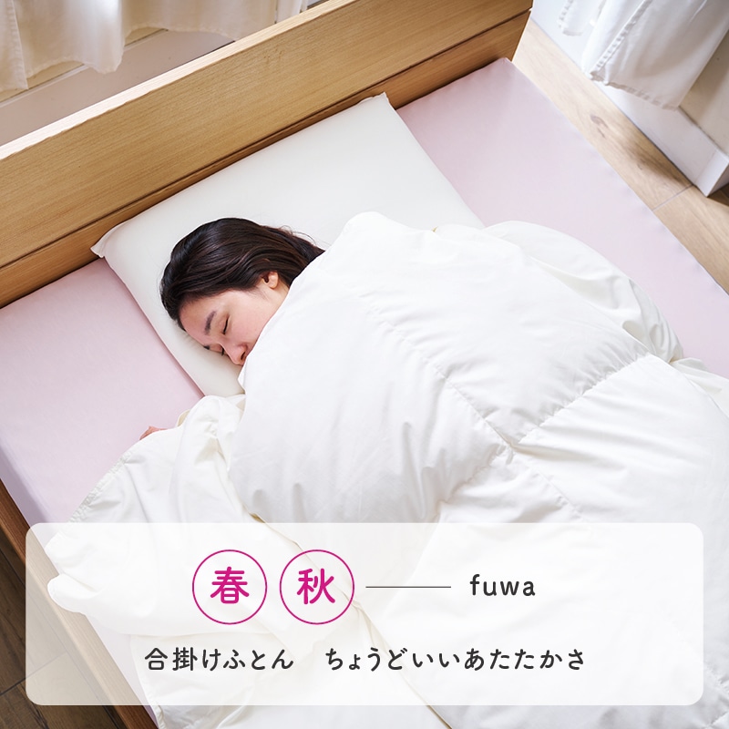 003 torofuwa 羽毛掛けふとん（通年使い羽毛ふとん）【下取り