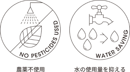 農薬不使用、水の使用量を抑える