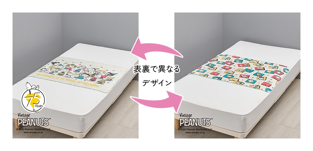 裏表で異なるデザイン