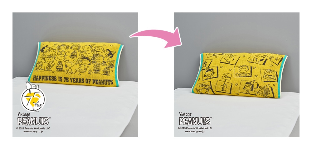 裏表で異なるデザイン