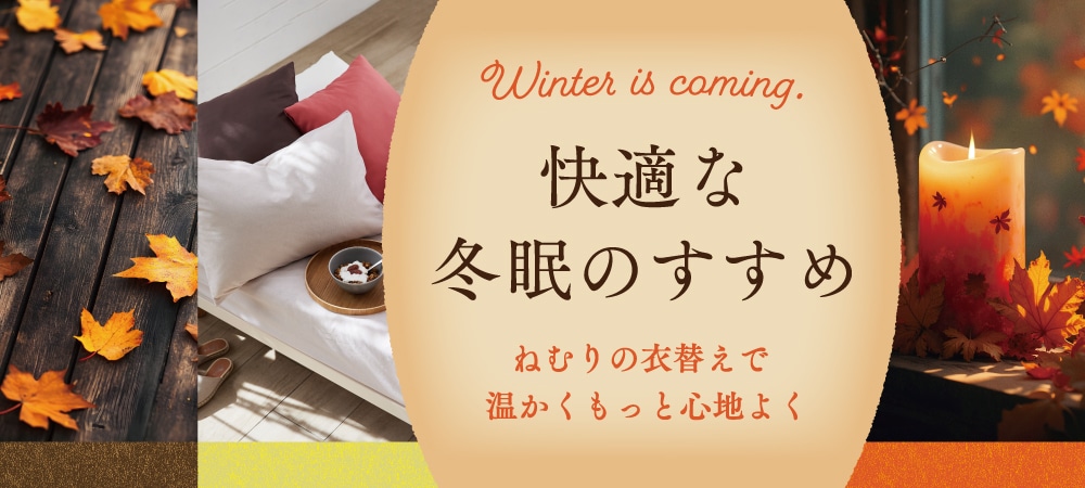 快適な冬眠のすすめ