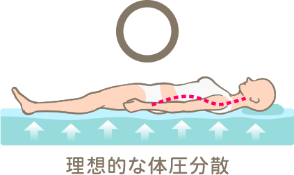 理想的な寝姿勢