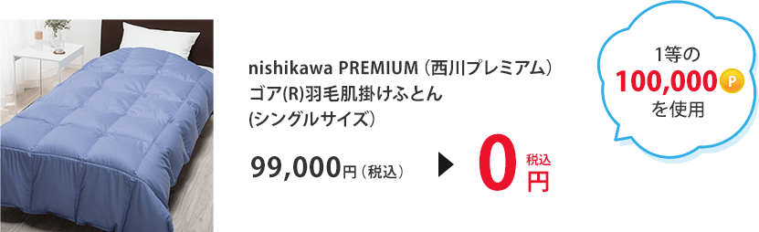 1等の100,000ポイントを使用 nishikawa PREMIUM（西川プレミアム）ゴア(R)羽毛肌掛けふとん(シングルサイズ) 99,000円（税込）＞0円（税込）