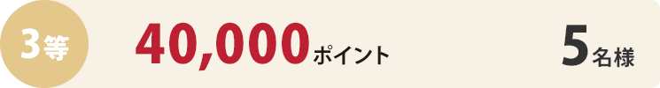 3等40,000ポイント5名様