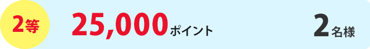 2等25,000ポイント2名様