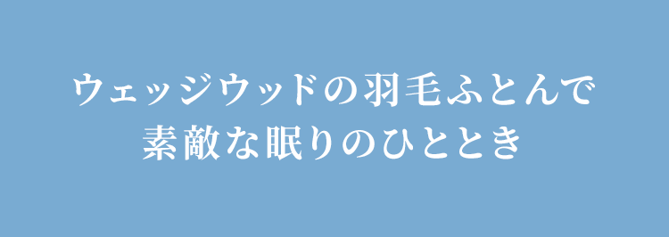 ウェッジウッドの羽毛ふとんで素敵な眠りのひととき│nishikawa