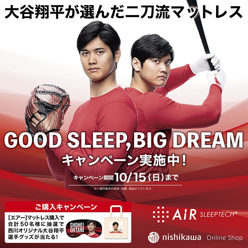 GOOD SLEEP、BIG DREAMキャンペーン】［エアーSI-H］マットレス／HARD